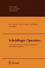 Schroedinger Operators