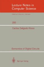Semantics of Digital Circuits