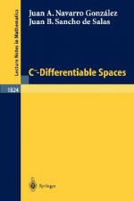 C-Infinity-Differentiable Spaces