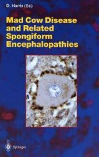 Mad Cow Disease and Related Spongiform Encephalopathies