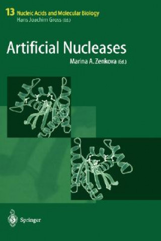 Artificial Nucleases