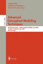 Advanced Conceptual Modeling Techniques