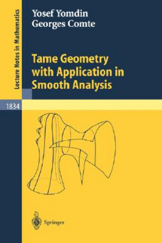 Tame Geometry with Application in Smooth Analysis