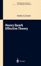Heavy Quark Effective Theory