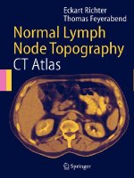 Normal Lymph Node Topography