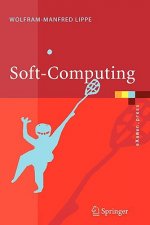 Soft-Computing