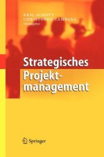 Strategisches Projektmanagement