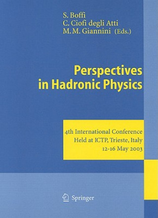 Perspectives in Hadronic Physics