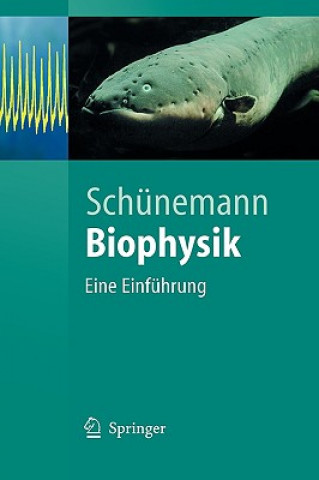 Biophysik