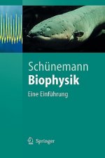 Biophysik
