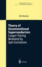 Theory of Unconventional Superconductors