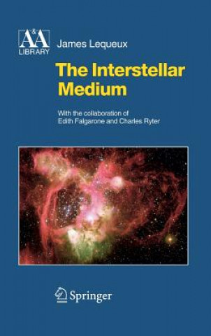 Interstellar Medium