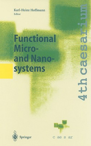 Functional Micro- and Nanosystems