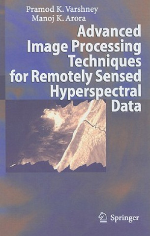 Advanced Image Processing Techniques for Remotely Sensed Hyperspectral Data