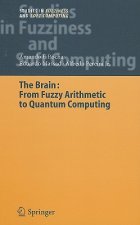Brain: Fuzzy Arithmetic to Quantum Computing