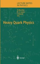 Heavy Quark Physics