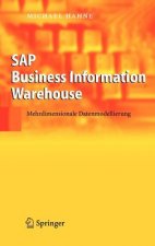 SAP Business Information Warehouse