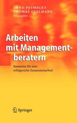 Arbeiten MIT Managementberatern