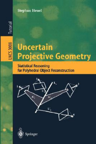 Uncertain Projective Geometry