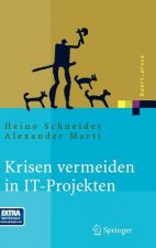 Krisen Vermeiden in it Projekten