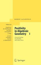 Positivity in Algebraic Geometry I
