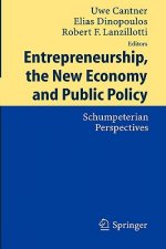 Entrepreneurship, the New Economy and Public Policy