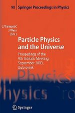 Particle Physics and the Universe