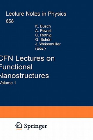 CFN Lectures on Functional Nanostructures