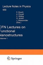 CFN Lectures on Functional Nanostructures