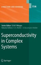 Superconductivity in Complex Systems