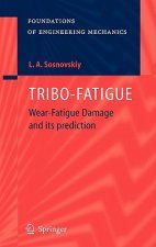 TRIBO-FATIGUE