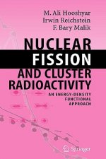 Nuclear Fission and Cluster Radioactivity