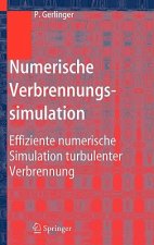 Numerische Verbrennungssimulation