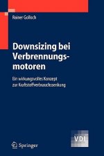 Downsizing Bei Verbrennungsmotoren