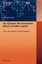 Dynamic Macroeconomic Effects of Public Capital