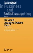 Do Smart Adaptive Systems Exist?