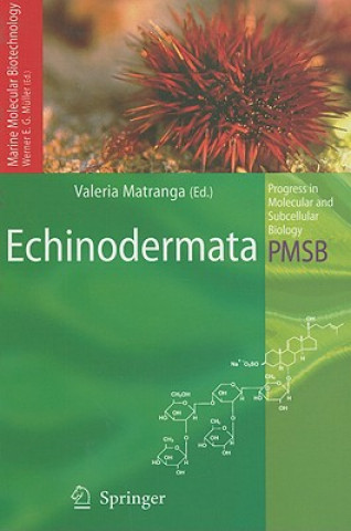 Echinodermata