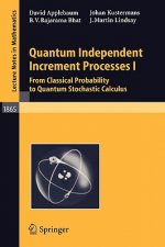 Quantum Independent Increment Processes I
