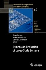 Dimension Reduction of Large-Scale Systems