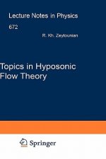 Topics in Hyposonic Flow Theory