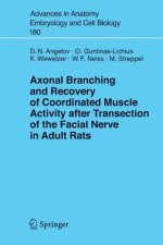Axonal Branching and Recovery of Coordinated Muscle Activity after Transsection of the Facial Nerve in Adult Rats