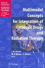 Multimodal Concepts for Integration of Cytotoxic Drugs