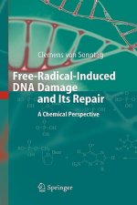 Free-Radical-Induced DNA Damage and Its Repair