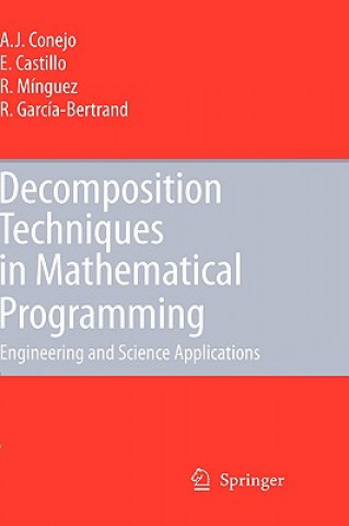 Decomposition Techniques in Mathematical Programming