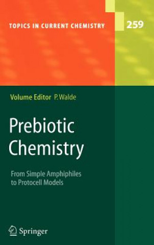 Prebiotic Chemistry