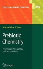Prebiotic Chemistry