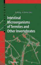 Intestinal Microorganisms of Termites and Other Invertebrates