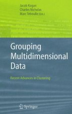 Grouping Multidimensional Data