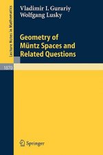 Geometry of Müntz Spaces and Related Questions