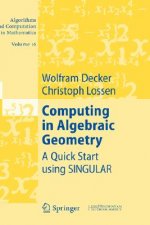 Computing in Algebraic Geometry